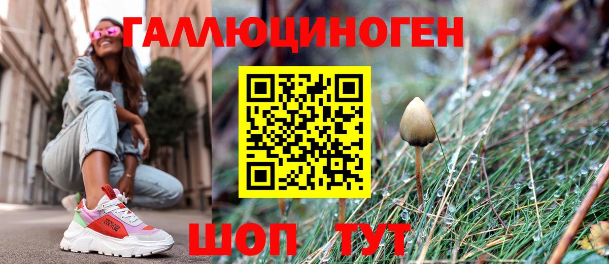 Гуково  Галлюциногенные грибы мицелий  Вход с VPN 